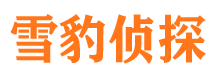 逊克市调查公司